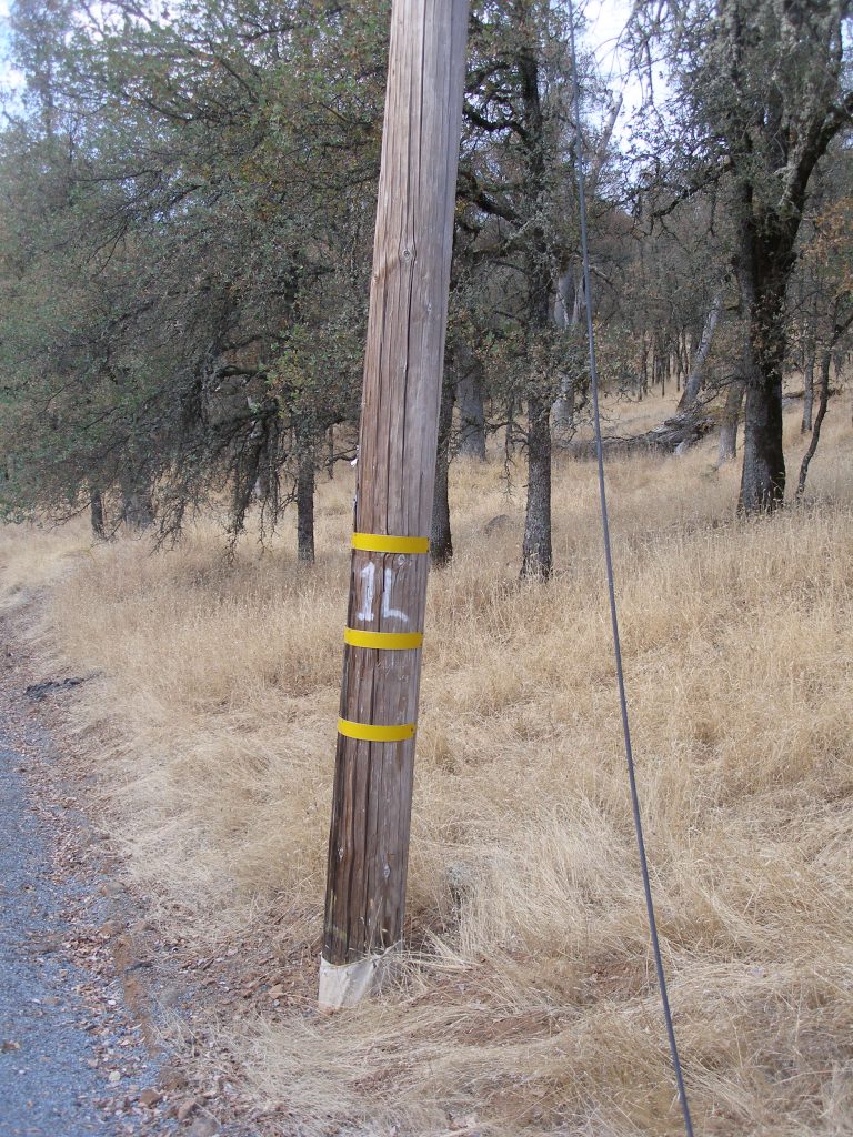 Aging wood pole with a line hanging off it.