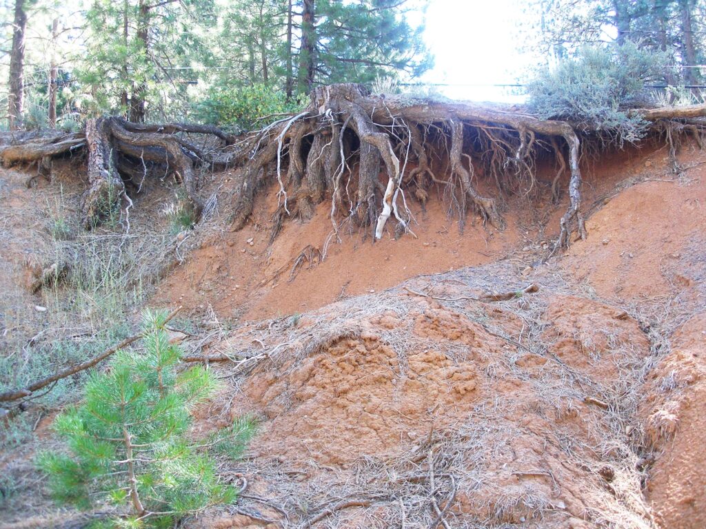 Another location north of Truckee where slope is collapsing where trees were removed.